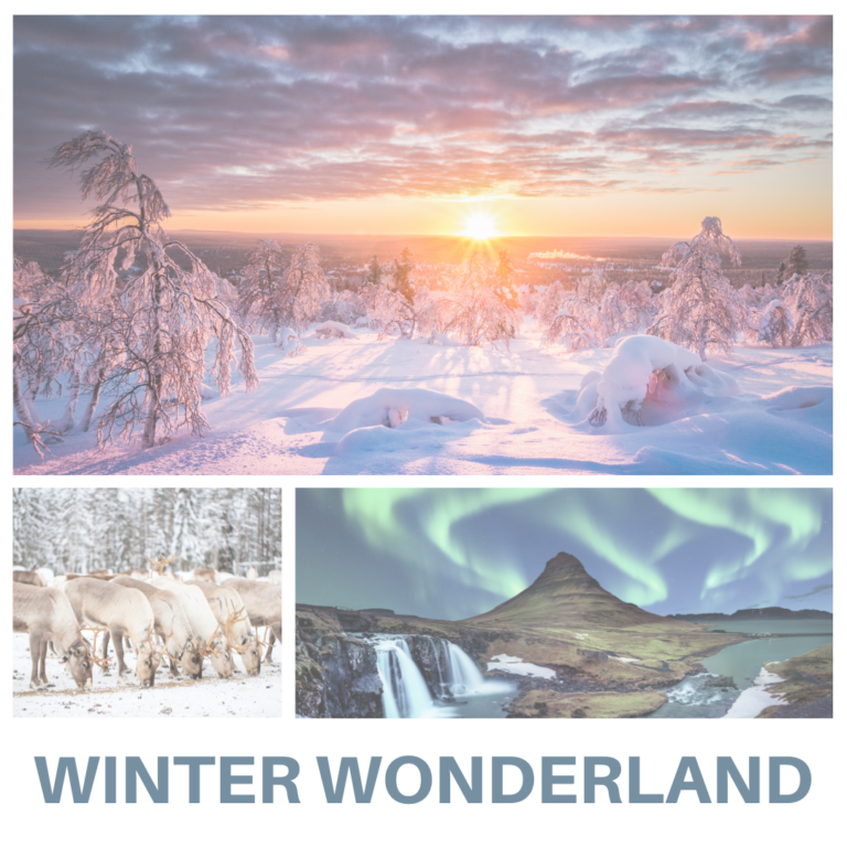 Winter Vacations: Escape to the Extreme North